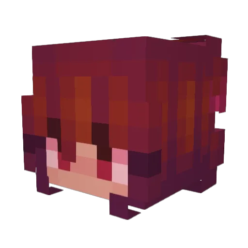 SuperPuppy4974 Minecraft avatar head, 3D render