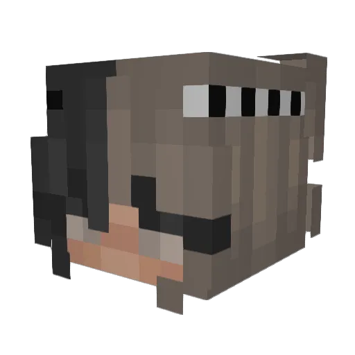SuperPurpleGirl Minecraft avatar head, 3D render