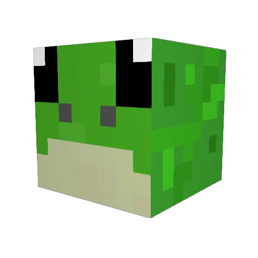 SuperRacer95 Minecraft avatar head, 3D render