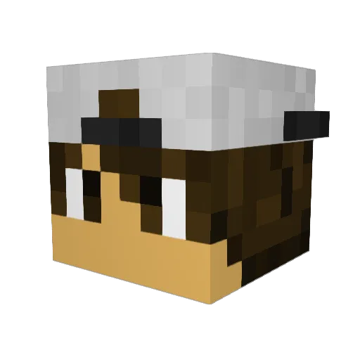 SuperRaido Minecraft avatar head, 3D render