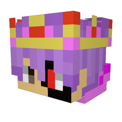 SuperRavi007 Minecraft avatar head, 3D render