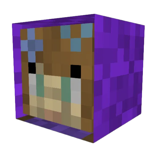 SuperSadieJ Minecraft avatar head, 3D render