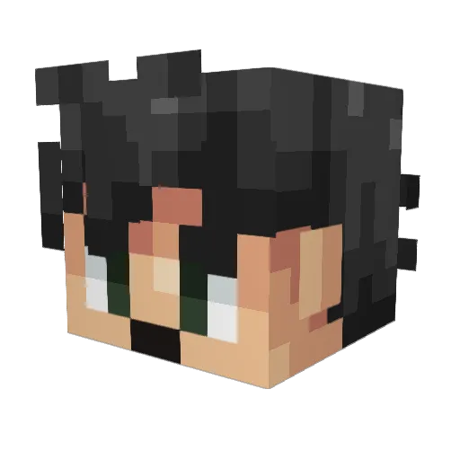 SuperSaiyanTomm Minecraft avatar head, 3D render