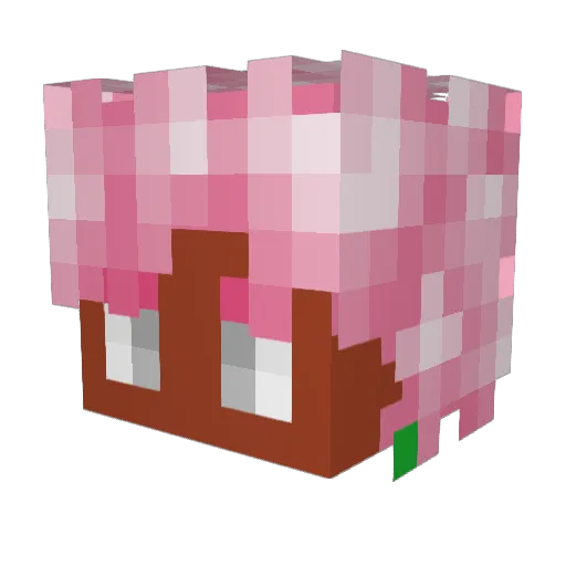SuperSaiyan_Sam Minecraft avatar head, 3D render
