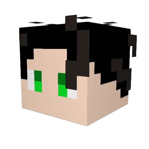 SuperSalt012 Minecraft avatar head, 3D render