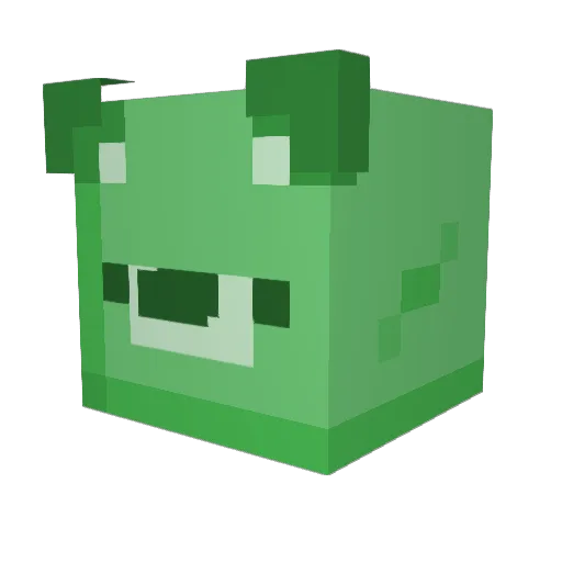 SuperSalty420 Minecraft avatar head, 3D render