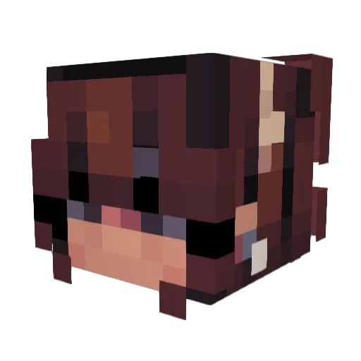 SuperSaltyChip Minecraft avatar head, 3D render