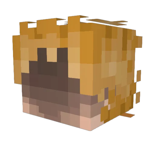 SuperSayWhat Minecraft avatar head, 3D render
