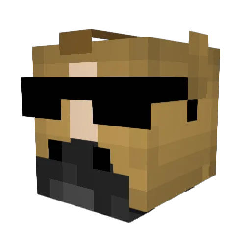 SuperShadow2020 Minecraft avatar head, 3D render
