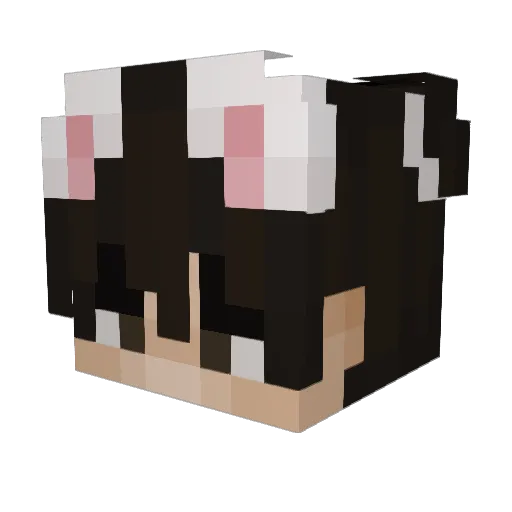 SuperSheeps88 Minecraft avatar head, 3D render