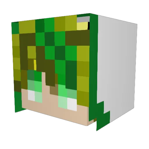 SuperShneb Minecraft avatar head, 3D render