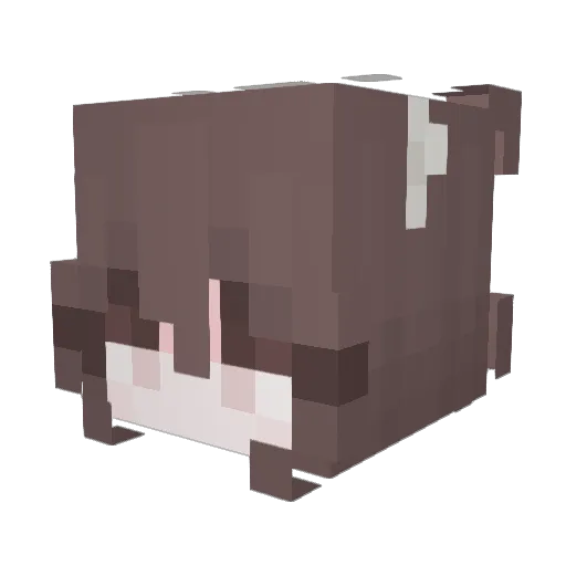 SuperSillyF Minecraft avatar head, 3D render