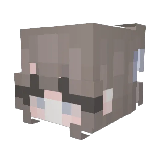 SuperSillyNinja Minecraft avatar head, 3D render