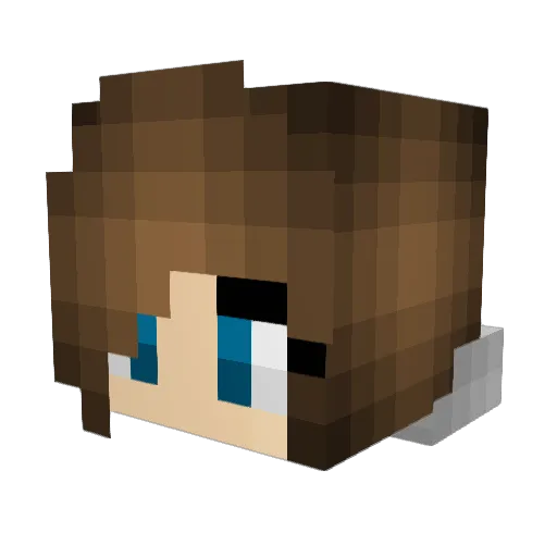 SuperSillySushi Minecraft avatar head, 3D render