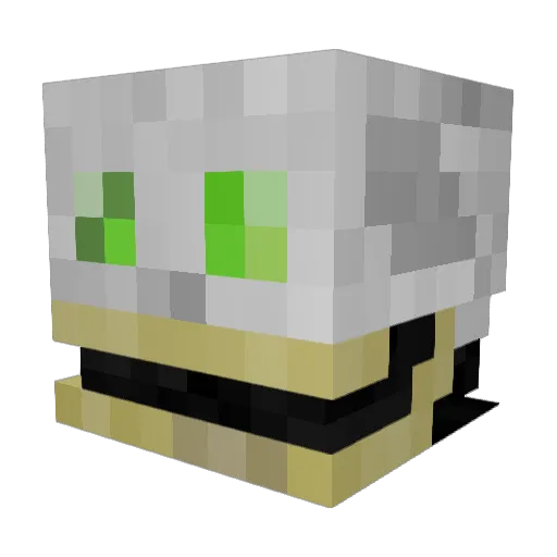 SuperSkull999 Minecraft avatar head, 3D render