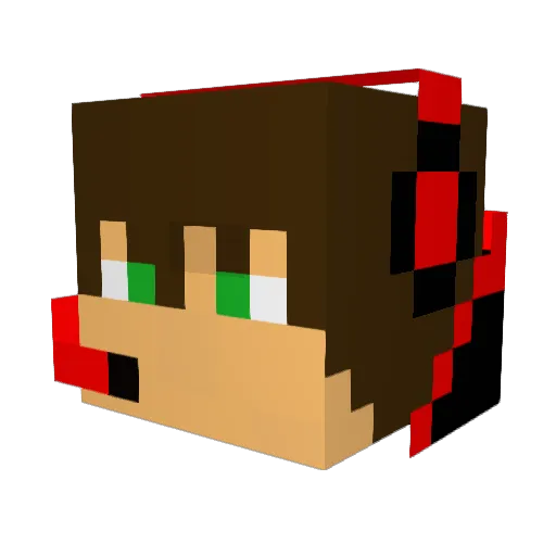 SuperSkunk22 Minecraft avatar head, 3D render
