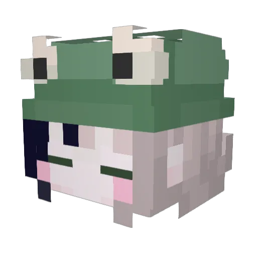 SuperSkweaky12 Minecraft avatar head, 3D render