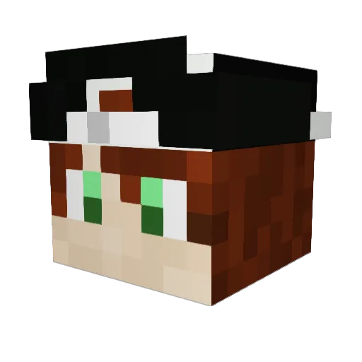 SuperSlayer358 Minecraft avatar head, 3D render