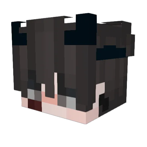 SuperSnake4000 Minecraft avatar head, 3D render