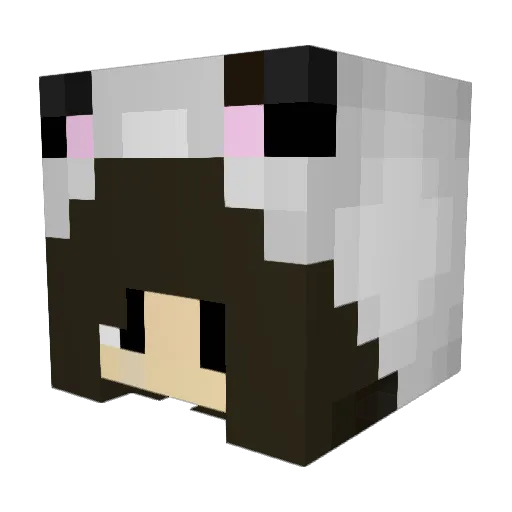 SuperSonicSamich Minecraft avatar head, 3D render