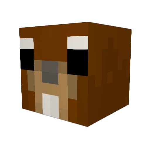 SuperSquirrel4 Minecraft avatar head, 3D render