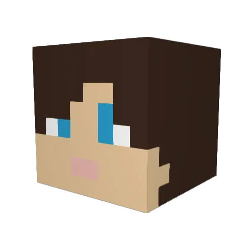 SuperSusi_ Minecraft avatar head, 3D render