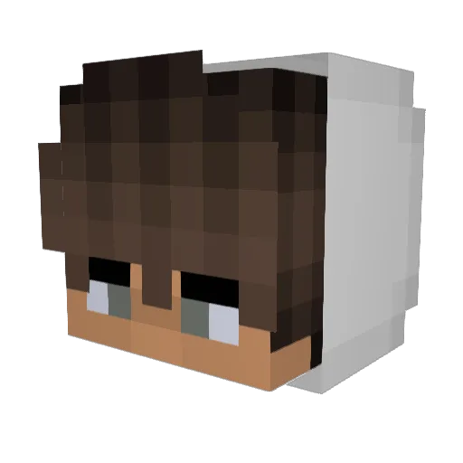 SuperT0T0 Minecraft avatar head, 3D render