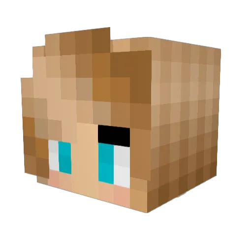 SuperTails41 Minecraft avatar head, 3D render