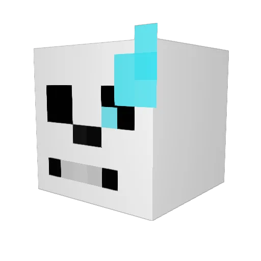 SuperTunafish Minecraft avatar head, 3D render
