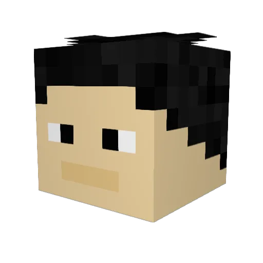 SuperTurtle8900 Minecraft avatar head, 3D render