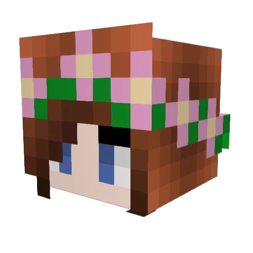 SuperWhoLocked_ Minecraft avatar head, 3D render