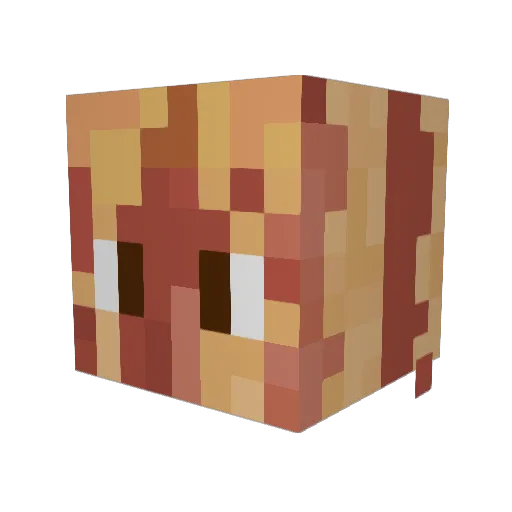 Super_Bacon Minecraft avatar head, 3D render