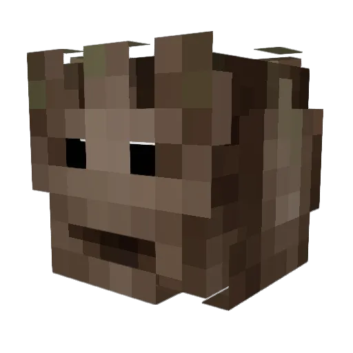 Super_Cool315 Minecraft avatar head, 3D render