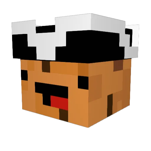 Super_Coukie Minecraft avatar head, 3D render
