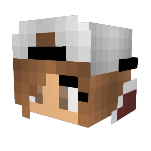Super_Girl205 Minecraft avatar head, 3D render