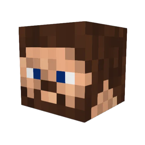 Super_Ninja96 Minecraft avatar head, 3D render