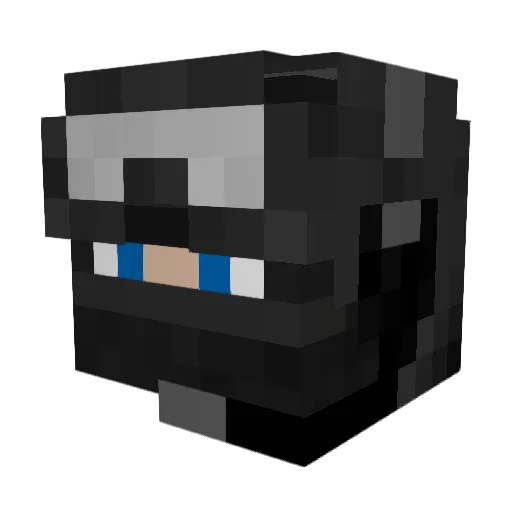 Super_Nova20 Minecraft avatar head, 3D render