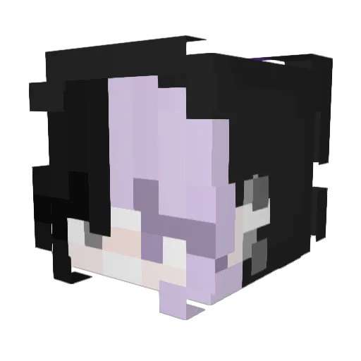Super_Nova24 Minecraft avatar head, 3D render