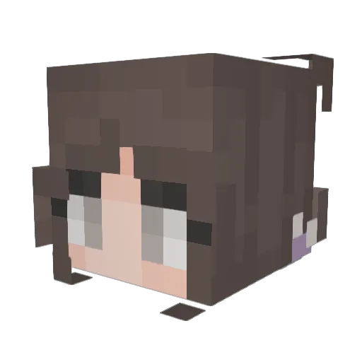 Super_Novaaaa Minecraft avatar head, 3D render
