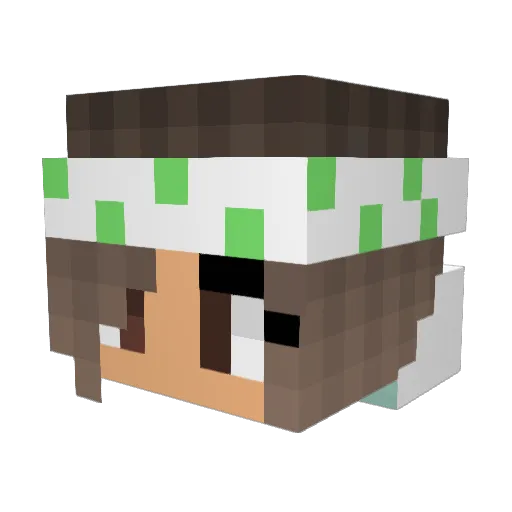 Super_Pup1234 Minecraft avatar head, 3D render