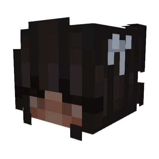 Super_Rainbow12 Minecraft avatar head, 3D render