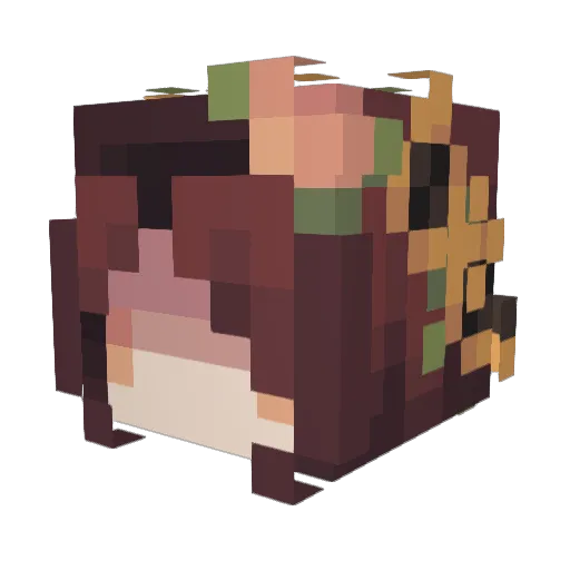 Super_Sanne3 Minecraft avatar head, 3D render