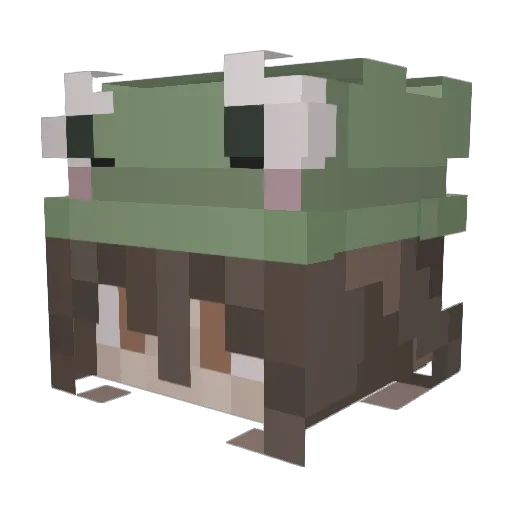 Super_SillyGoose Minecraft avatar head, 3D render