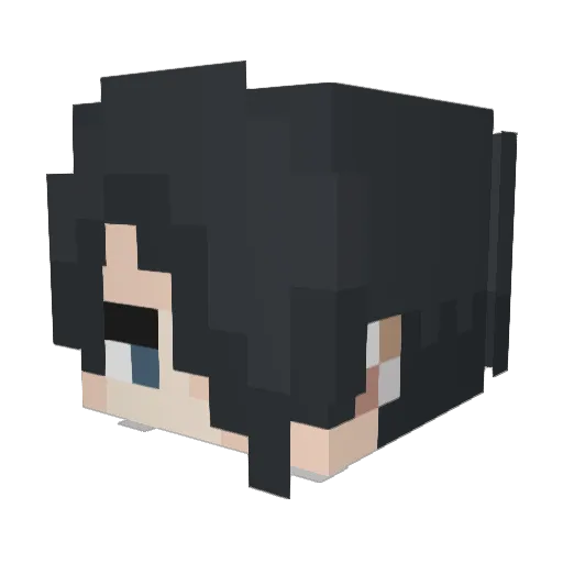 Super_Sooner Minecraft avatar head, 3D render
