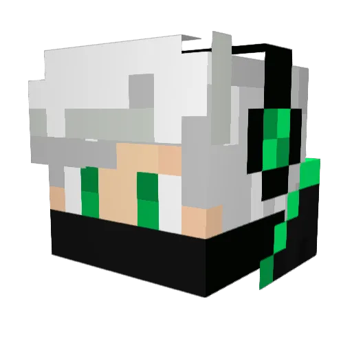 Super_Tiger_2010 Minecraft avatar head, 3D render