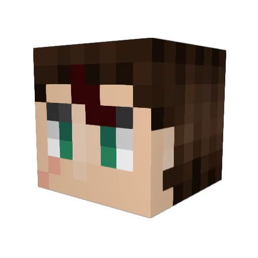 Super_progamerr Minecraft avatar head, 3D render