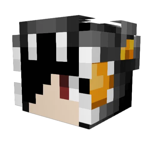 Super_rbk Minecraft avatar head, 3D render