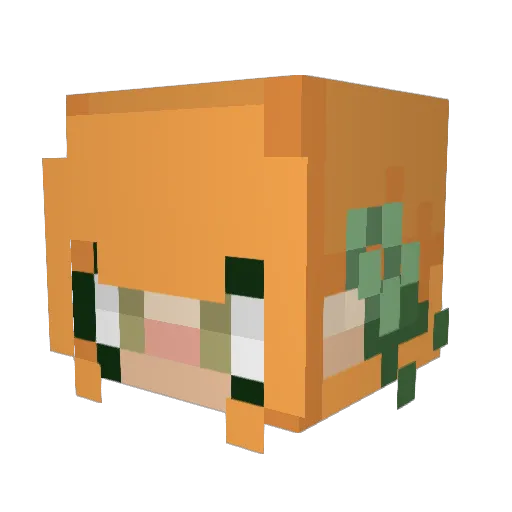 Superash100 Minecraft avatar head, 3D render