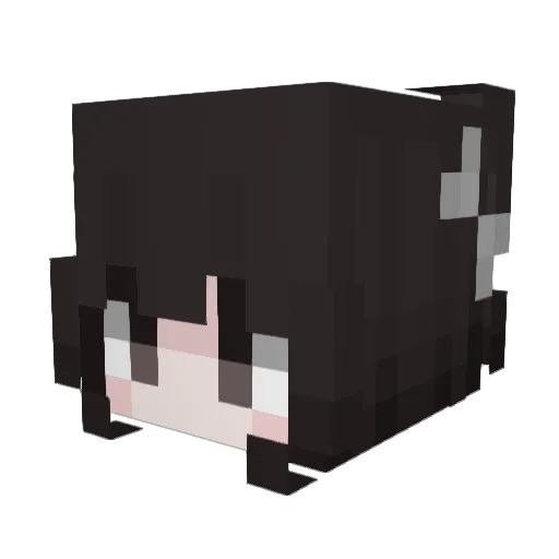 SuperbAncient863 Minecraft avatar head, 3D render