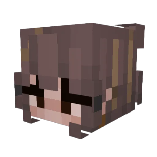 Superbjungle491 Minecraft avatar head, 3D render